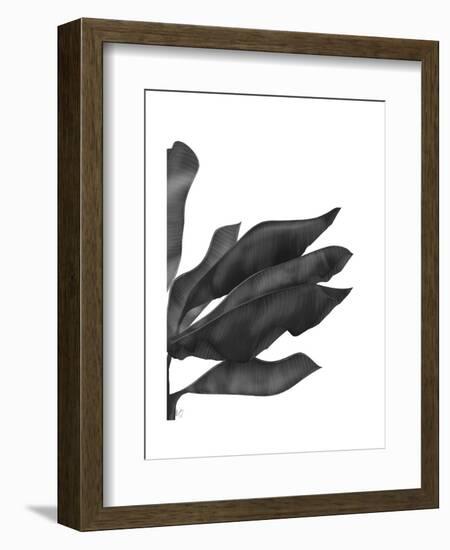 Banana Leaves 1, Black on White-Fab Funky-Framed Art Print