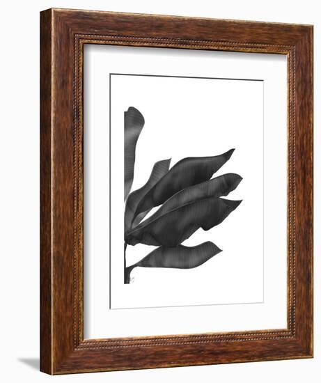 Banana Leaves 1, Black on White-Fab Funky-Framed Art Print