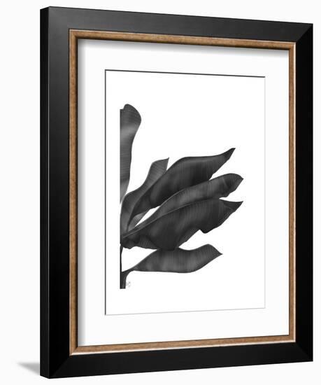 Banana Leaves 1, Black on White-Fab Funky-Framed Art Print