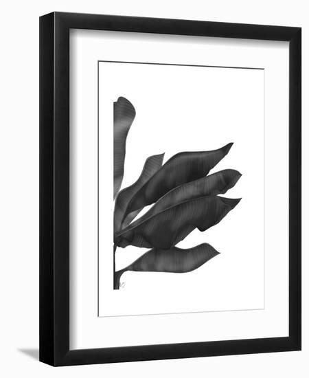 Banana Leaves 1, Black on White-Fab Funky-Framed Art Print