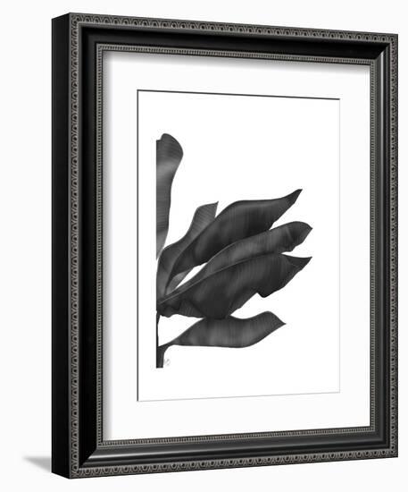 Banana Leaves 1, Black on White-Fab Funky-Framed Art Print