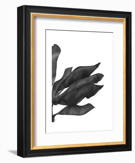 Banana Leaves 1, Black on White-Fab Funky-Framed Art Print