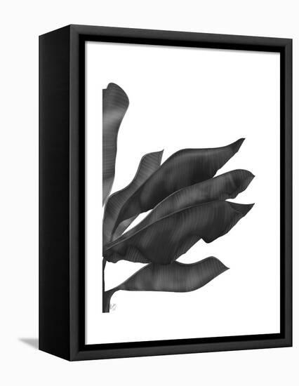 Banana Leaves 1, Black on White-Fab Funky-Framed Stretched Canvas
