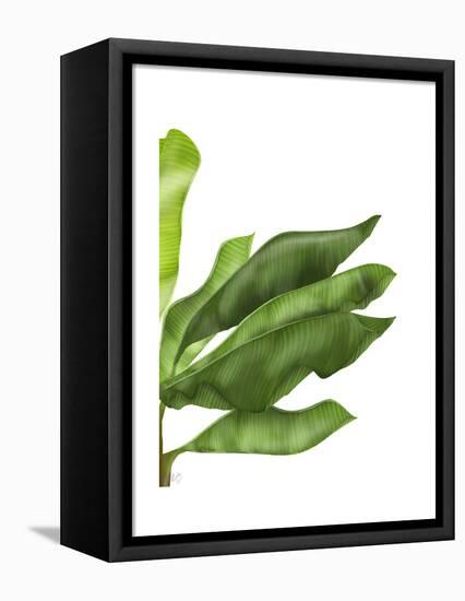 Banana Leaves 1, Green on White-Fab Funky-Framed Stretched Canvas