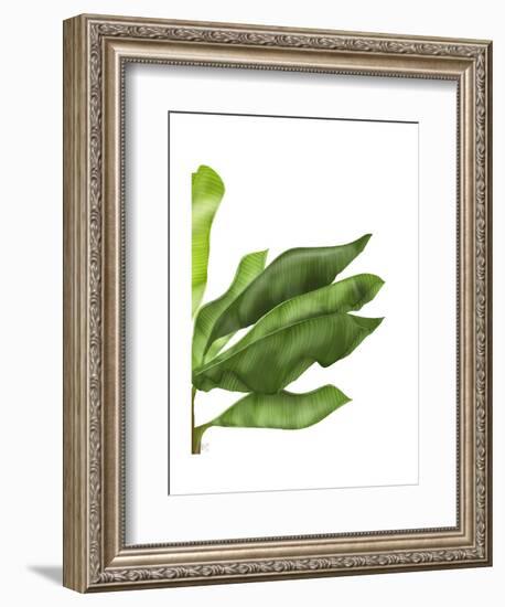 Banana Leaves 1, Green on White-Fab Funky-Framed Art Print