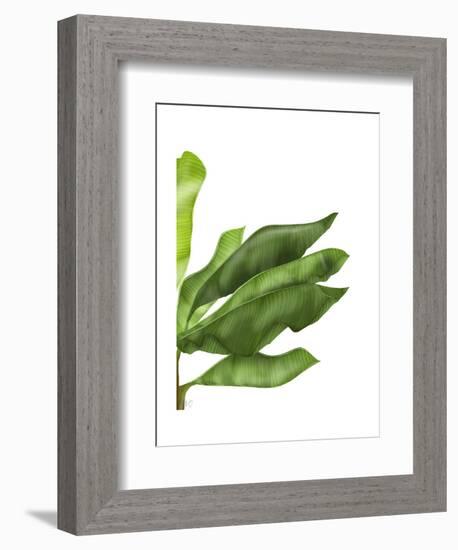 Banana Leaves 1, Green on White-Fab Funky-Framed Art Print