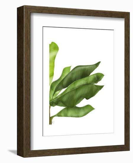 Banana Leaves 1, Green on White-Fab Funky-Framed Art Print