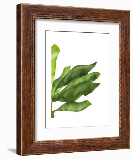 Banana Leaves 1, Green on White-Fab Funky-Framed Art Print