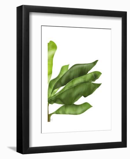 Banana Leaves 1, Green on White-Fab Funky-Framed Art Print