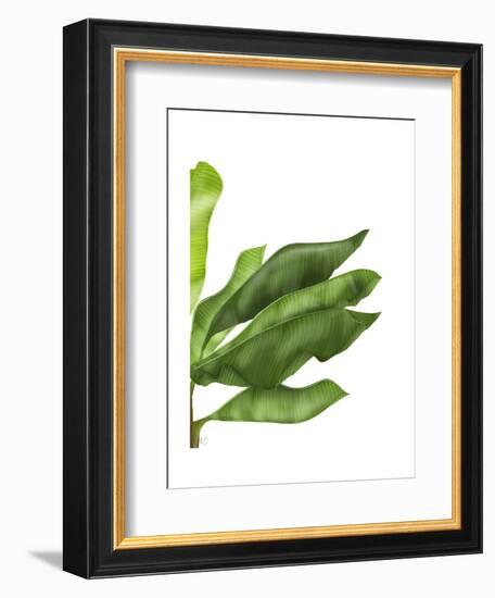 Banana Leaves 1, Green on White-Fab Funky-Framed Art Print