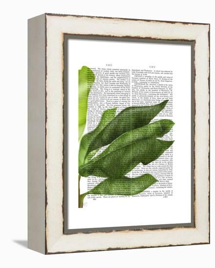 Banana Leaves 1, Green on White-Fab Funky-Framed Stretched Canvas