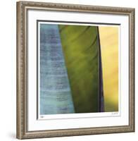 Banana Leaves I-Joy Doherty-Framed Giclee Print