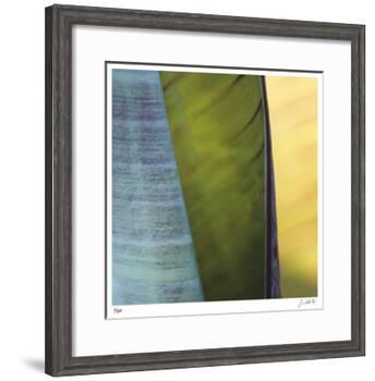 Banana Leaves I-Joy Doherty-Framed Giclee Print