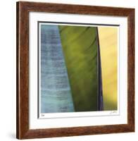 Banana Leaves I-Joy Doherty-Framed Giclee Print