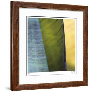 Banana Leaves I-Joy Doherty-Framed Giclee Print