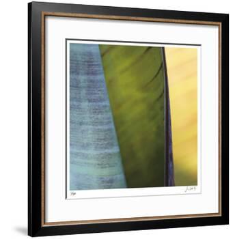 Banana Leaves I-Joy Doherty-Framed Giclee Print