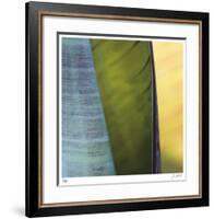 Banana Leaves I-Joy Doherty-Framed Giclee Print