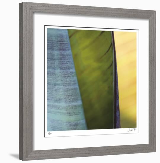 Banana Leaves I-Joy Doherty-Framed Giclee Print