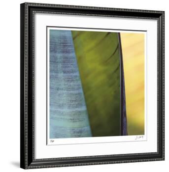 Banana Leaves I-Joy Doherty-Framed Giclee Print