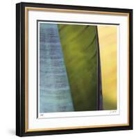 Banana Leaves I-Joy Doherty-Framed Giclee Print
