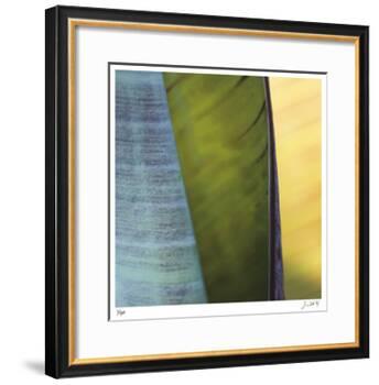 Banana Leaves I-Joy Doherty-Framed Giclee Print