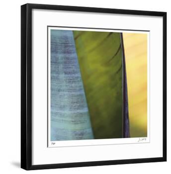 Banana Leaves I-Joy Doherty-Framed Giclee Print