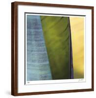 Banana Leaves I-Joy Doherty-Framed Giclee Print