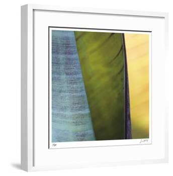 Banana Leaves I-Joy Doherty-Framed Giclee Print