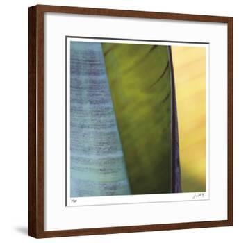 Banana Leaves I-Joy Doherty-Framed Giclee Print