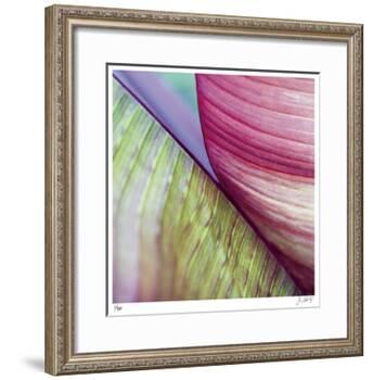 Banana Leaves II-Joy Doherty-Framed Giclee Print