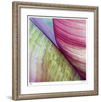 Banana Leaves II-Joy Doherty-Framed Giclee Print