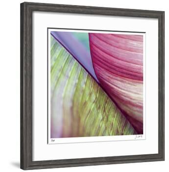 Banana Leaves II-Joy Doherty-Framed Giclee Print