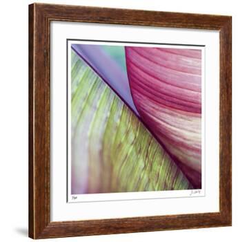 Banana Leaves II-Joy Doherty-Framed Giclee Print