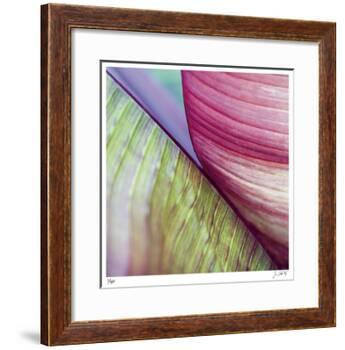 Banana Leaves II-Joy Doherty-Framed Giclee Print