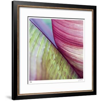 Banana Leaves II-Joy Doherty-Framed Giclee Print