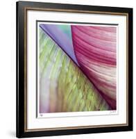 Banana Leaves II-Joy Doherty-Framed Giclee Print