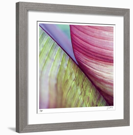 Banana Leaves II-Joy Doherty-Framed Giclee Print