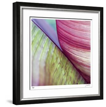 Banana Leaves II-Joy Doherty-Framed Giclee Print