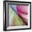 Banana Leaves II-Joy Doherty-Framed Giclee Print