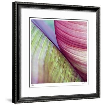 Banana Leaves II-Joy Doherty-Framed Giclee Print