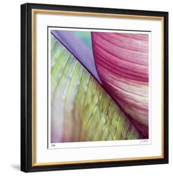 Banana Leaves II-Joy Doherty-Framed Giclee Print