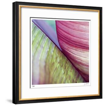Banana Leaves II-Joy Doherty-Framed Giclee Print