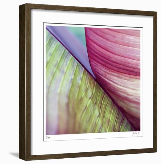 Banana Leaves II-Joy Doherty-Framed Giclee Print