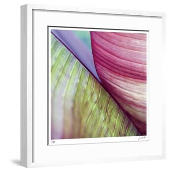 Banana Leaves II-Joy Doherty-Framed Giclee Print