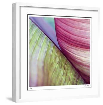Banana Leaves II-Joy Doherty-Framed Giclee Print