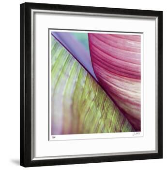 Banana Leaves II-Joy Doherty-Framed Giclee Print