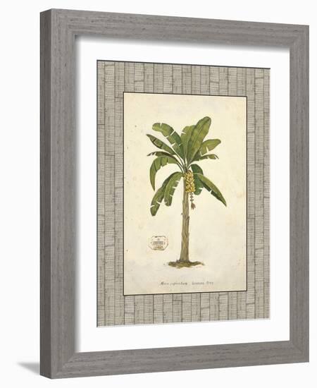 Banana Palm Illustration-Arnie Fisk-Framed Art Print