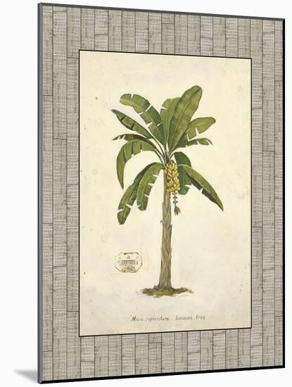 Banana Palm Illustration-Arnie Fisk-Mounted Art Print