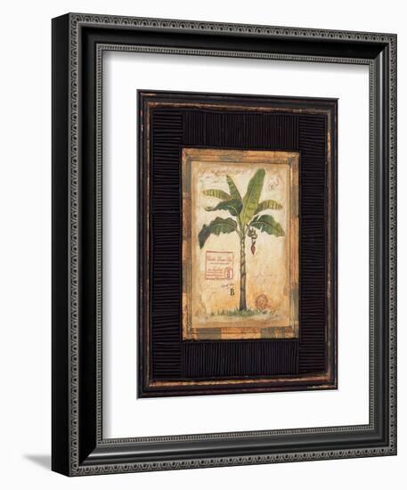 Banana Palm-Chad Barrett-Framed Art Print