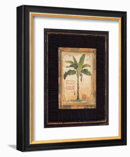 Banana Palm-Chad Barrett-Framed Art Print